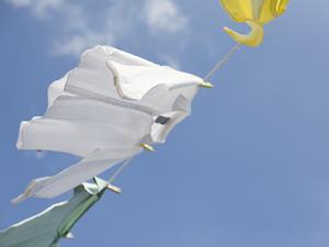 2026年最新版：調味料開発の成功ポイントと最新トレンド徹底解説